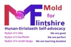 Mold for Flintshire logo